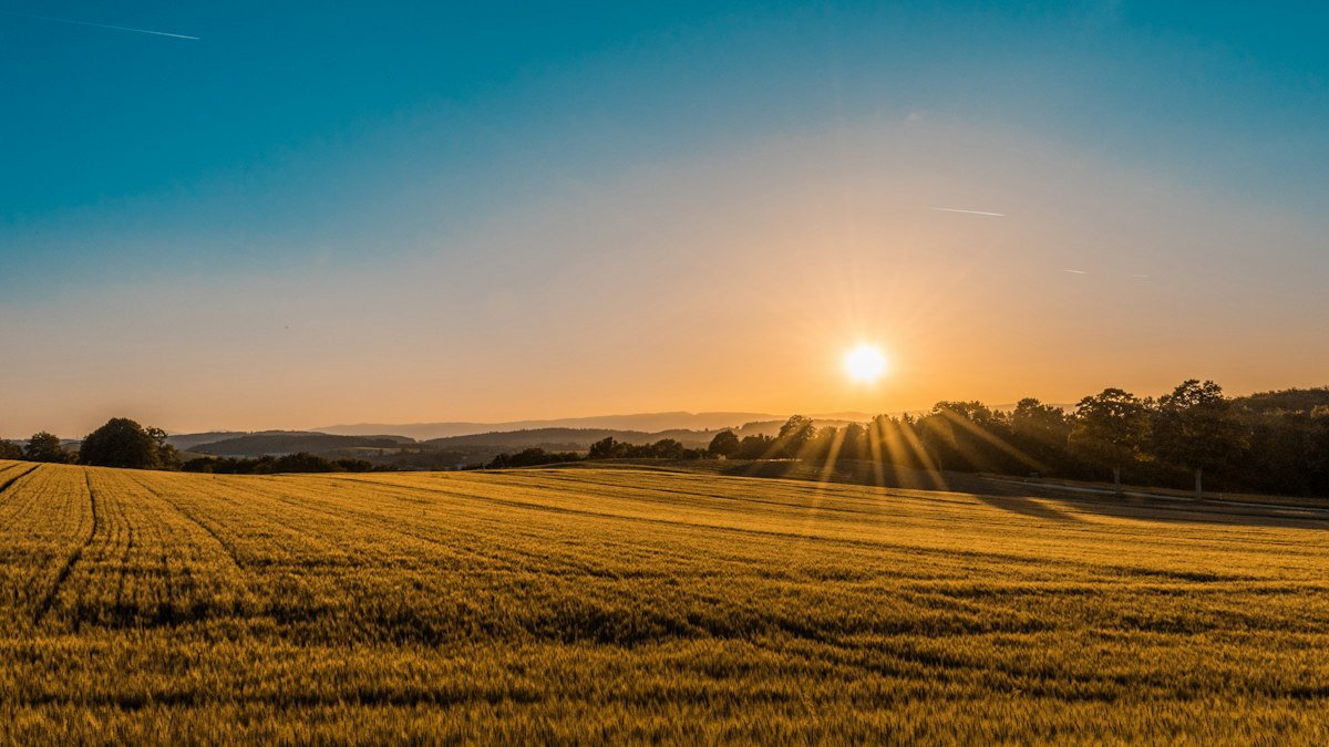 Golden prairie and ranch land in Montana